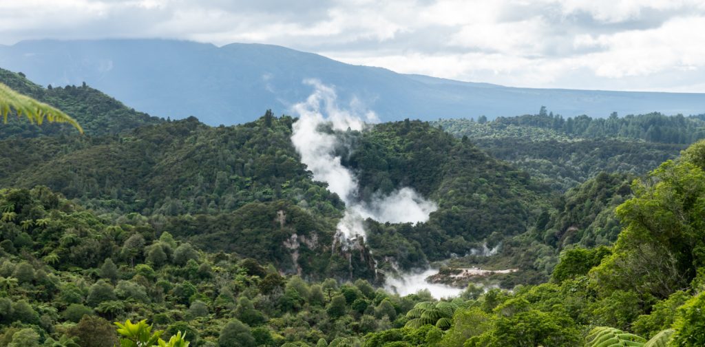 Waimangu Volcanic Valley