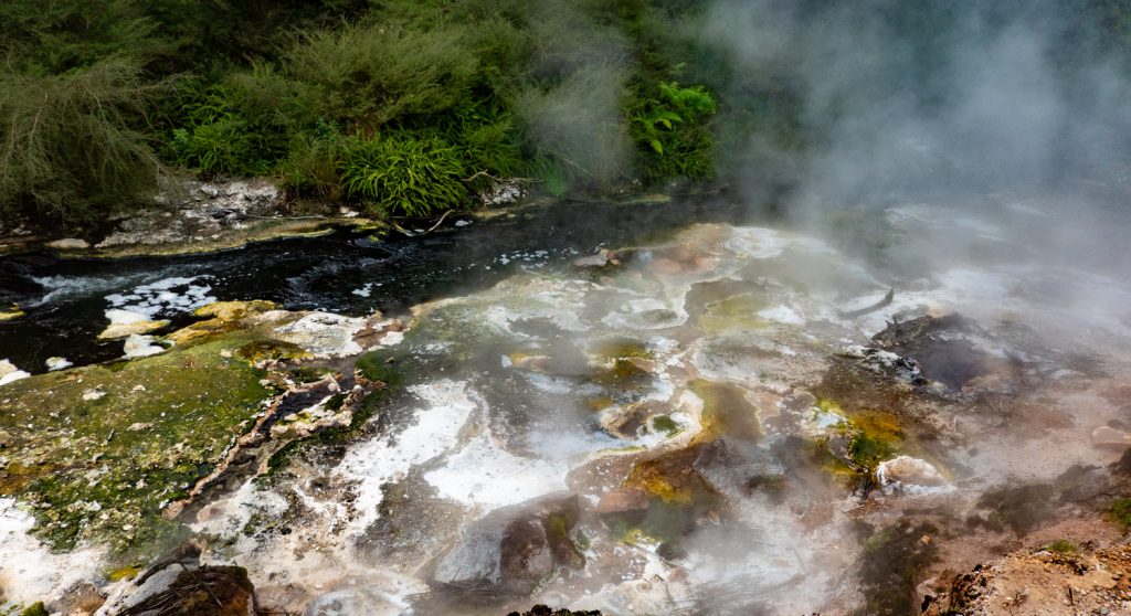 Hot Stream, Waimangu Volcanic Valley