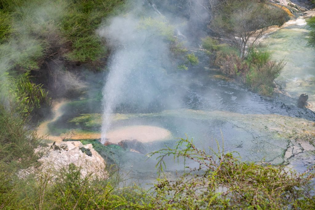 Geyser, Waimangu Volcanic Valley