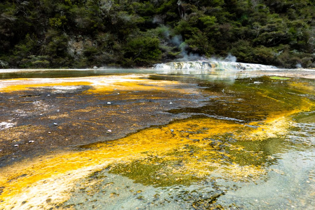 Algae and Elements, Waimangu Volcanic Valley